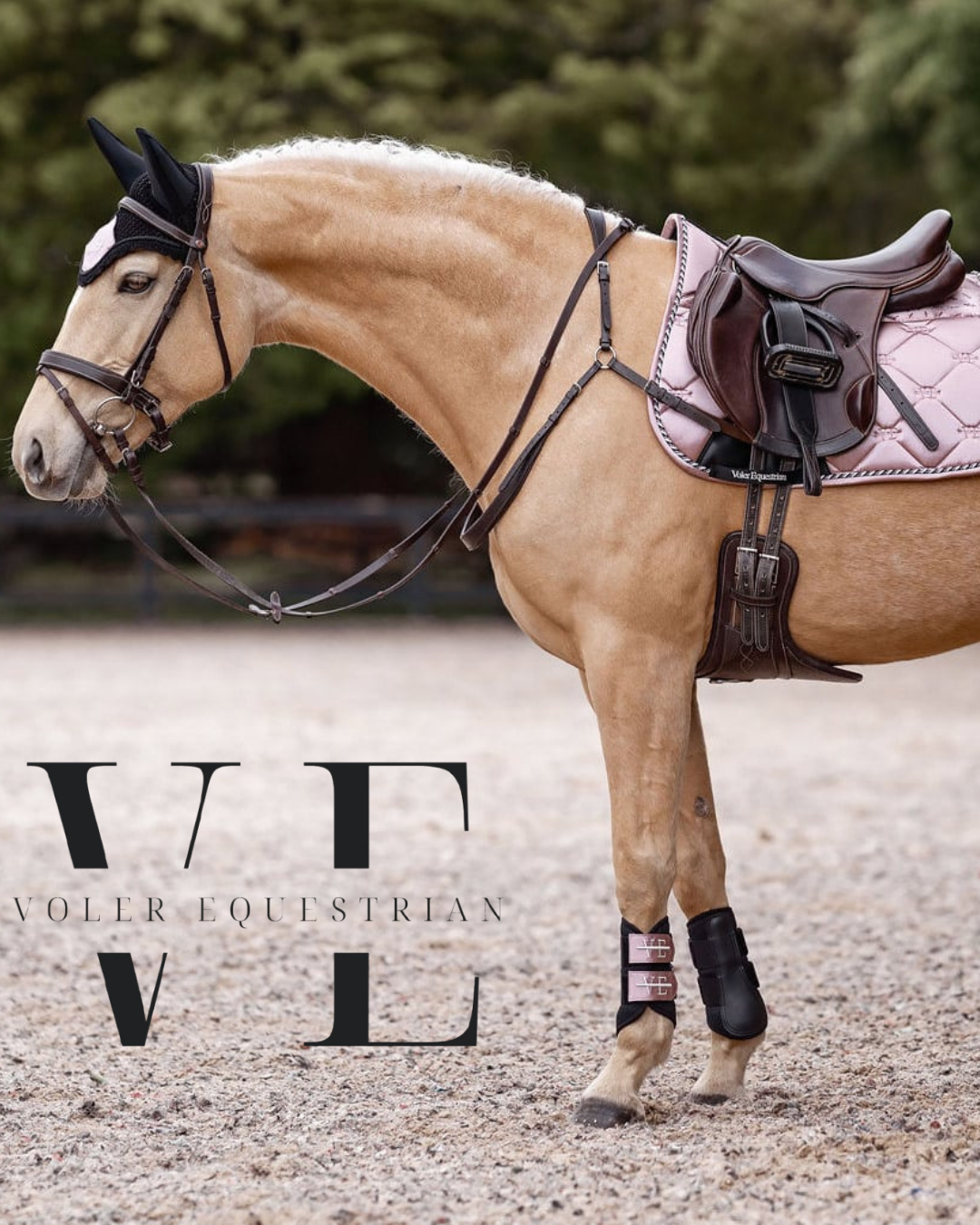 Voler Equestrian