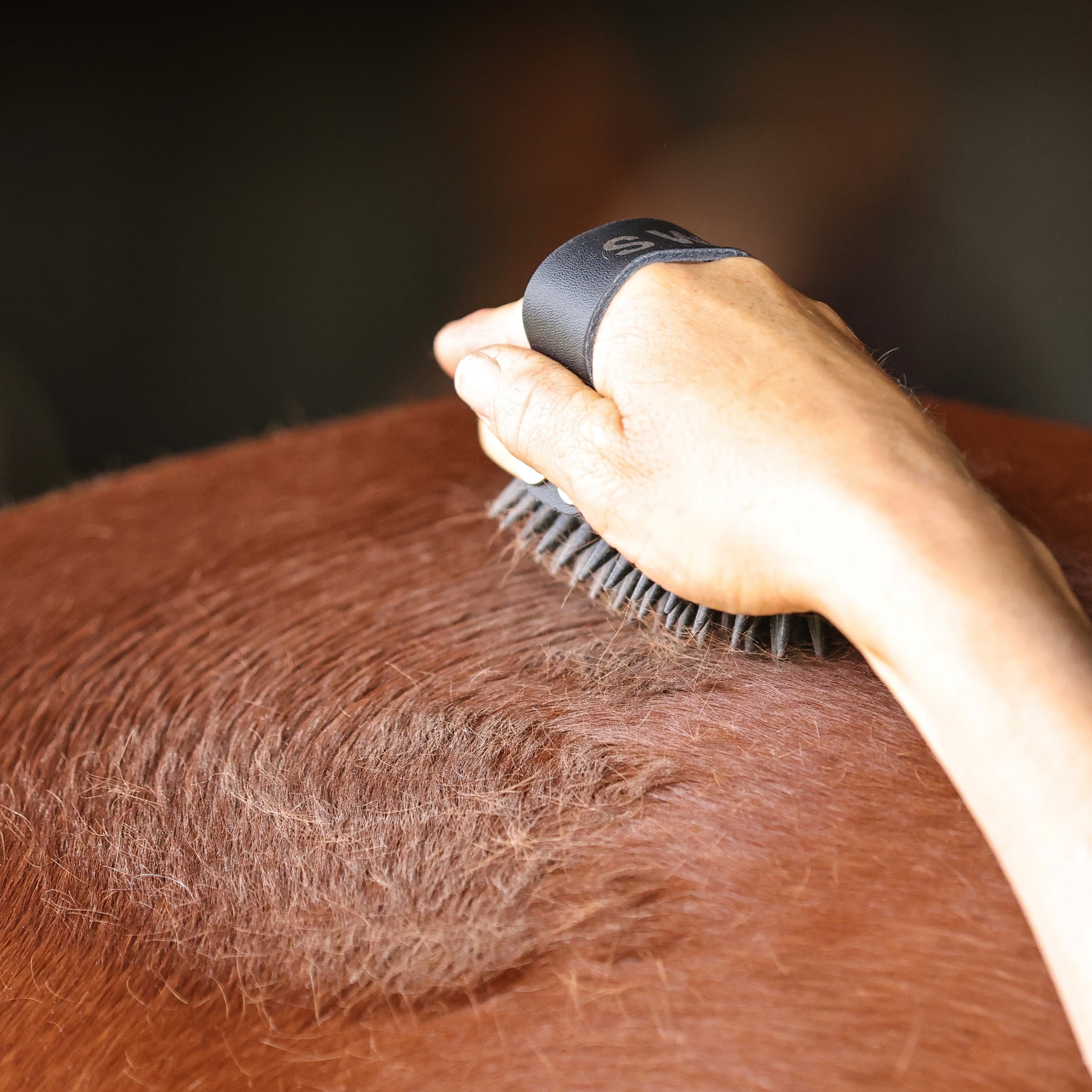 Swift Curry Comb - GeeGee Collective