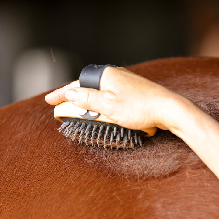 Swift Curry Comb - GeeGee Collective