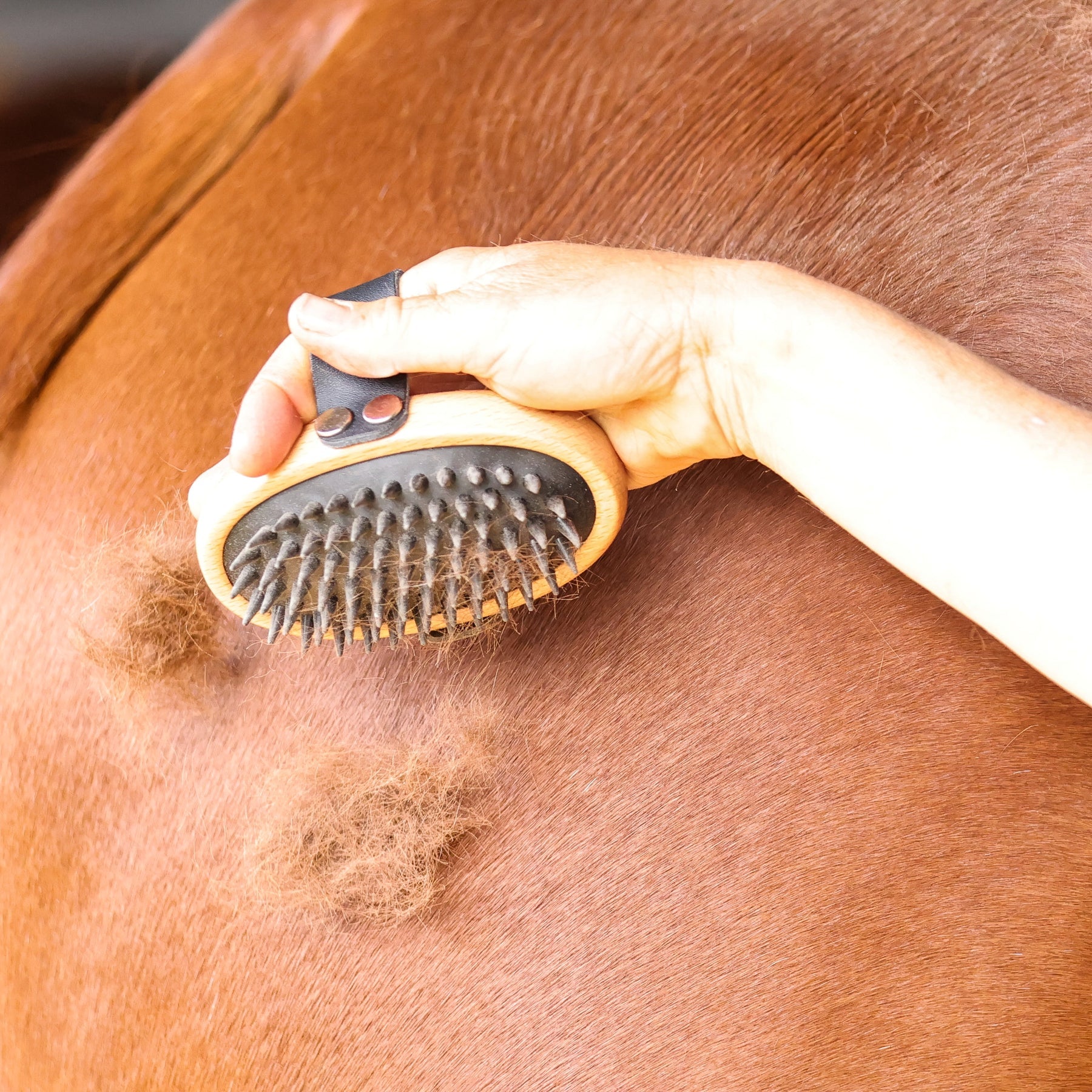 Swift Curry Comb - GeeGee Collective