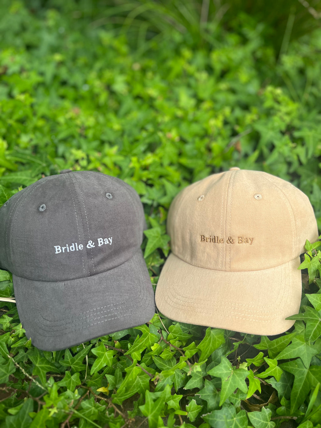 Bridle & Bay Cap