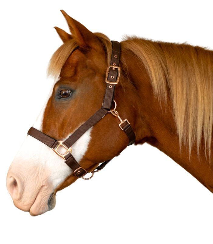 Padded Suede Halter - Brown/Rose Gold