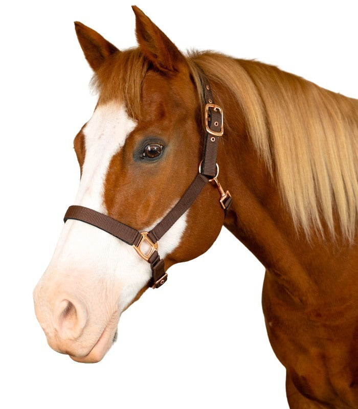 Padded Suede Halter - Brown/Rose Gold