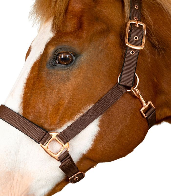 Padded Suede Halter - Brown/Rose Gold