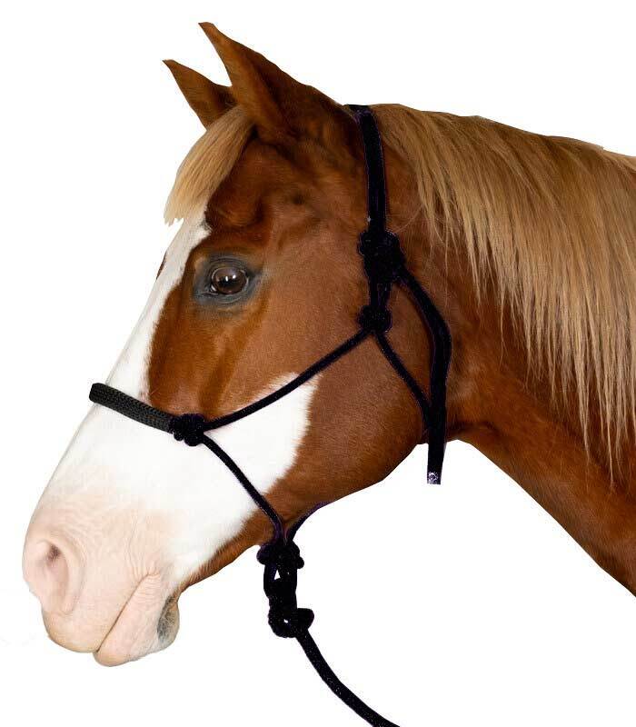 Soft Rope Halter and Lead Set - Black