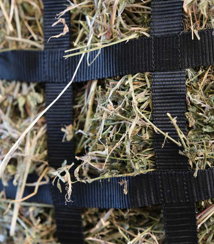 Deluxe Slow Feeder Hay Bag