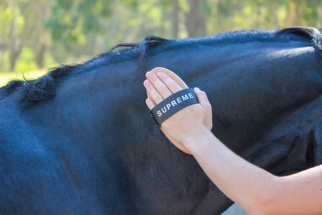 Supreme Body Brush - GeeGee Collective